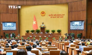 Thông cáo báo chí số 11, Kỳ họp thứ 7, Quốc hội khóa XV