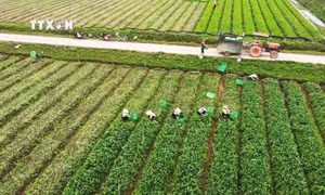 Những chính sách nổi bật có hiệu lực trong tháng 3/2024