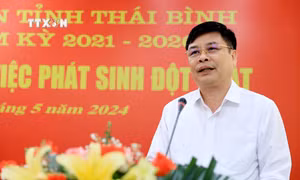 Phê chuẩn nhân sự UBND tỉnh Thái Bình và Quảng Ngãi