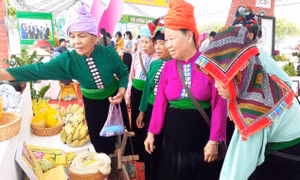 Cuối tháng 5/2022, Hà Nội tham gia Chương trình “Festival trái cây và sản phẩm OCOP Việt Nam năm 2022 tại tỉnh Sơn La”.