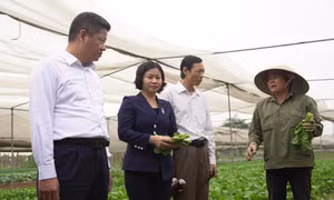 Hà Nội phấn đấu đến hết năm 2021 thu nhập người dân nông thôn đạt 60 triệu đồng/người/năm