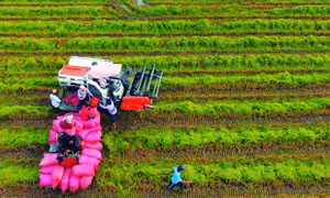 Trà Vinh nâng cao đời sống đồng bào Khmer, góp phần xây dựng nông thôn mới
