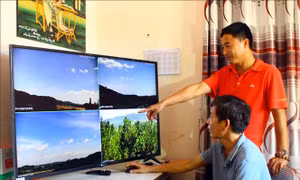 Nghệ An nâng cao hiệu quả phòng, chống cháy rừng trong mùa nắng nóng