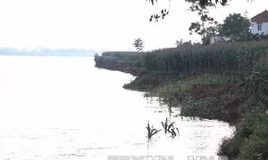 Sông Thao đoạn chảy qua xã Bản Nguyên, huyện Lâm Thao, tỉnh Phú Thọ. Ảnh: Tạ Văn Toàn-TTXVN