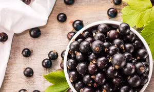 Nghiên cứu thuốc điều trị COVID-19 từ quả acai berry 