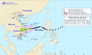 Kiểm soát chặt chẽ tàu, thuyền; xử phạt các chủ phương tiện không tuân thủ an toàn trong thiên tai
