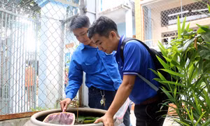 Bệnh sốt xuất huyết tăng mạnh tại Bến Tre