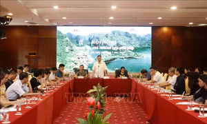 Kết nối du lịch Lào Cai – Ninh Bình