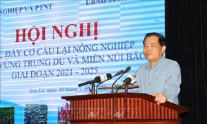 Bộ trưởng Bộ Nông nghiệp và Phát triển nông thôn Nguyễn Xuân Cường phát biểu tại Hội nghị. Ảnh: Nguyễn Cường - TTXVN