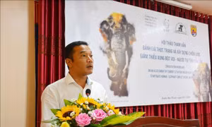 Đắk Lắk giảm thiểu xung đột giữa voi và người