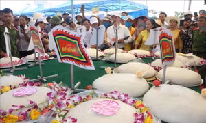 Những mâm bánh giầy dâng lên Thần Độc Cước. Ảnh: Hoa Mai - TTXVN
