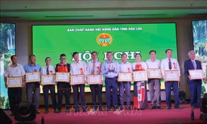 Hội Nông dân tỉnh Đắk Lắk: Hội nghị điển hình tiên tiến lần thứ IV (2020 – 2025)