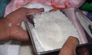 Sản phẩm gạo sạch của huyện Vị Thủy. Ảnh: Hồng Thái - TTXVN
