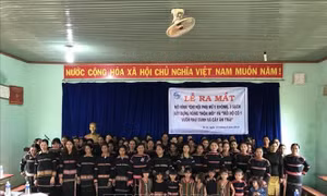 Những hoạt động, mô hình hiệu quả của phụ nữ Gia Lai chung sức xây dựng nông thôn mới