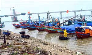 Thực hiện nghiêm Công điện của Thủ tướng Chính phủ về ứng phó với bão số 2