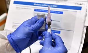 Vaccine ngừa COVID-19 của công ty Moderna thử nghiệm hiệu quả trên khỉ