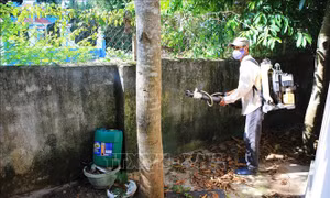 Phun thuốc diệt muỗi phòng chống sốt xuất huyết ở Thừa Thiên - Huế. Ảnh: Hồ Cầu-TTXVN