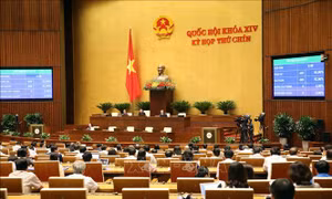 Nghị quyết Chương trình xây dựng luật, pháp lệnh năm 2021, điều chỉnh Chương trình xây dựng luật, pháp lệnh năm 2020