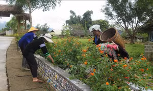 Phụ nữ Lai Châu góp sức xây dựng nông thôn mới