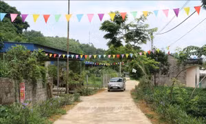 Nhân rộng xóm, xã nông thôn mới kiểu mẫu ở Thái Nguyên
