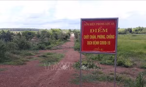 Dịch COVID-19: Bình Phước kiểm soát chặt tuyến biên giới, ngăn chặn nhập cảnh trái phép