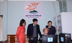 Bắc Kạn: Chuyển đổi số tác động tích cực đến mọi mặt của đời sống xã hội