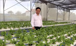 Ninh Thuận tạo động lực thúc đẩy phát triển kinh tế tập thể