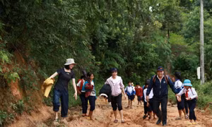 Cô Hồ Thị Thùy Vân (ngoài cùng bên trái) cùng đồng nghiệp vận động đưa học sinh đến lớp. Ảnh: baotintuc.vn