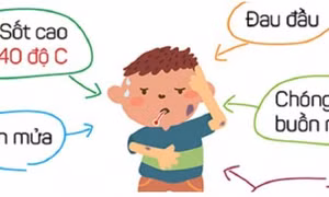 Điều trị tích cực cho bệnh nhi mắc viêm não Nhật Bản B ở Đắk Lắk