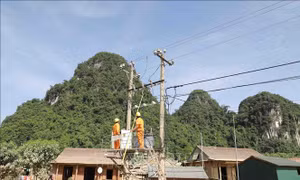 Bão chồng lũ, người dân Quảng Bình kiên cường, gồng mình khắc phục thiên tai