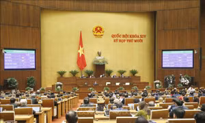 Nghị quyết Kỳ họp thứ 10, Quốc hội khóa XIV