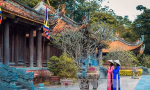 Một Lam Kinh rất khác mùa Thu này