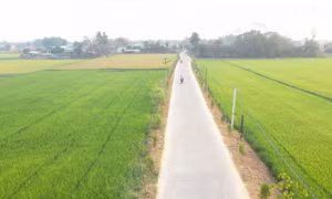Xã Mỹ Hạnh Nam, huyện Đức Hòa (Long An) được công nhận xã nông thôn mới nâng cao năm 2020. Ảnh: baolongan.vn