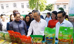 Tổng Giám đốc Công ty cổ phần kinh doanh chế biến nông sản Bảo Minh Bùi Thị Hạnh Hiếu (áo sẫm, hàng đầu, bên trái) giới thiệu sản phẩm lúa gạo hữu cơ Đồng Phú hướng đến xuất khẩu sang thị trường Mỹ với đại diện lãnh đạo Bộ Nông nghiệp và Phát triển nông t