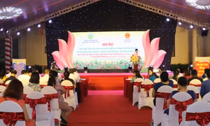 Quang cảnh buổi Lễ khai mạc Tuần hàng tư vấn, giới thiệu và bán sản phẩm OCOP Hà Nội năm 2022 kết hợp không gian trưng bày, quảng bá sản phẩm OCOP, làng nghề huyện Thanh Trì.