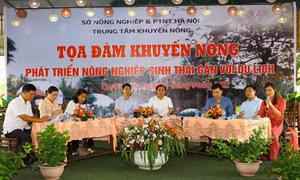 Tọa đàm khuyến nông.