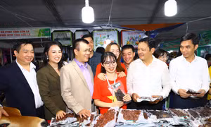 Các đại biểu tham quan gian hàng trưng bày, giới thiệu sản phẩm OCOP.