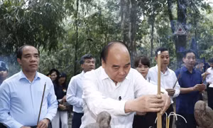Chủ tịch nước Nguyễn Xuân Phúc cùng đoàn công tác dâng hương tưởng nhớ Chủ tịch Hồ Chí Minh tại Lán Nà Nưa trong Khu di tích lịch sử Quốc gia đặc biệt Tân Trào. Ảnh: Thống Nhất - TTXVN