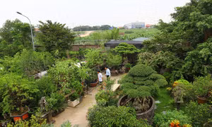 Phát huy thế mạnh địa phương, xã Hồng Vân (huyện Thường Tín, Hà Nội) đã chuyển hướng từ sản xuất nông nghiệp sang phát triển du lịch sinh thái làng nghề.