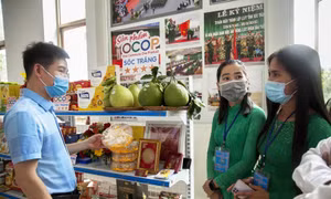Giới thiệu với người tiêu dùng về các sản phẩm OCOP Sóc Trăng. Ảnh: Hồng Đạt - TTXVN
