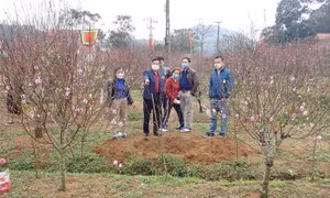 Biên giới xứ Lạng hân hoan đón chào Xuân mới