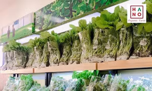 Hanofarm đẩy mạnh tiêu thụ nông sản qua kênh bán hàng trực tuyến
