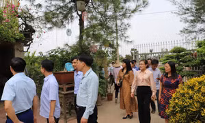 Hà Nội tận dụng tối đa lợi thế về đa dạng hệ sinh thái tự nhiên, bản sắc văn hóa để tạo dựng nền nông nghiệp sinh thái gắn với phát triển du lịch.
