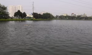 Hà Nội giai đoạn tới sẽ tiếp tục nghiên cứu, đề xuất thành phố ban hành một số chính sách đặc thù nhằm khuyến khích nuôi trồng thủy sản hữu cơ, qua đó tạo nguồn thực phẩm sạch, hướng tới xây dựng thương hiệu thủy sản Hà Nội.
