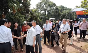 Đoàn cán bộ Hội đồng xúc tiến Nông Lâm Ngư nghiệp Nhật Bản thăm Trang trại trồng nhãn chín muộn của hộ gia đình ông Trần Văn Bảy - Phó Chủ tịch Hội sản xuất và kinh doanh nhãn chín muộn huyện Hoài Đức, Hà Nội.