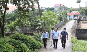 Tại xã Bột Xuyên, huyện Mỹ Đức (Hà Nội), nhân dân đã đóng góp gần 15,6 tỷ đồng để tập trung xây dựng, chỉnh trang đường làng ngõ xóm, đóng góp 6.978 ngày công lao động góp phần xây dựng các công trình phúc lợi ở địa phương.