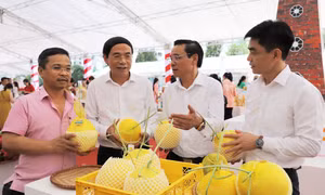 Hà Nội sẽ tìm nguồn trái cây phù hợp để đáp ứng nhu cầu tiêu dùng của người dân Thủ đô.
