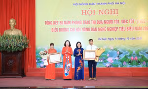 Phó Chủ tịch Trung ương Hội Nông dân Việt Nam Bùi Thị Thơm; Phó Bí thư Thường trực Thành ủy Hà Nội Nguyễn Thị Tuyến trao Bằng khen của Thủ tướng Chính phủ cho 2 nông dân Thủ đô xuất sắc.