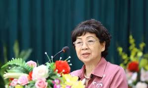 GS.TS Đặng Kim Chi, Hội bảo vệ Thiên nhiên và Môi trường Việt Nam phát biểu tại Hội thảo “Một số giải pháp bảo tồn, phát triển làng nghề trên địa bàn thành phố Hà Nội”.