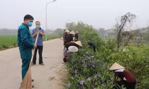 Các cấp Hội phụ nữ Hà Nội tích cực tham gia phong trào xây dựng nông thôn mới như trồng hoa, xây dựng đường làng ngõ xóm sáng - xanh - sạch - đẹp.
